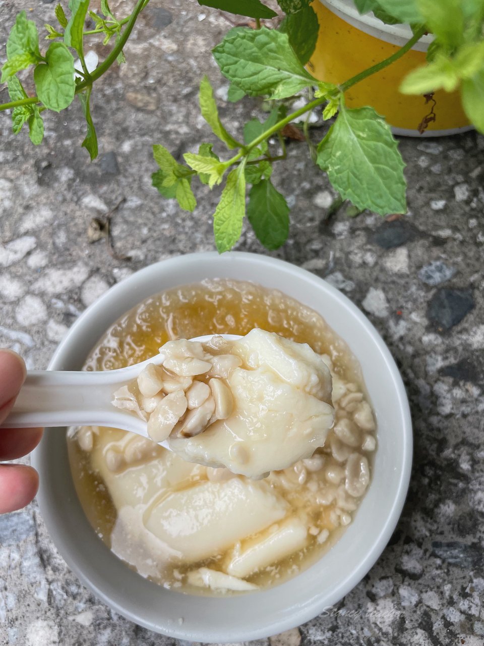 公館美食「龍潭豆花」帶有炭燒豆漿香氣的原味豆花只賣花生口味一種口味公館必吃豆花