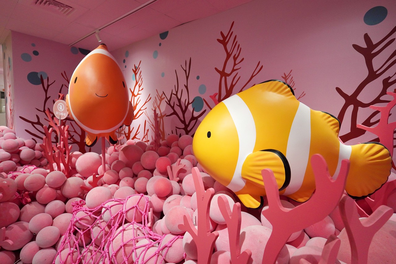 澎湖免費景點推薦「康倪海洋生技丑丑館」小丑魚的繽紛海底世界超夢幻超好拍