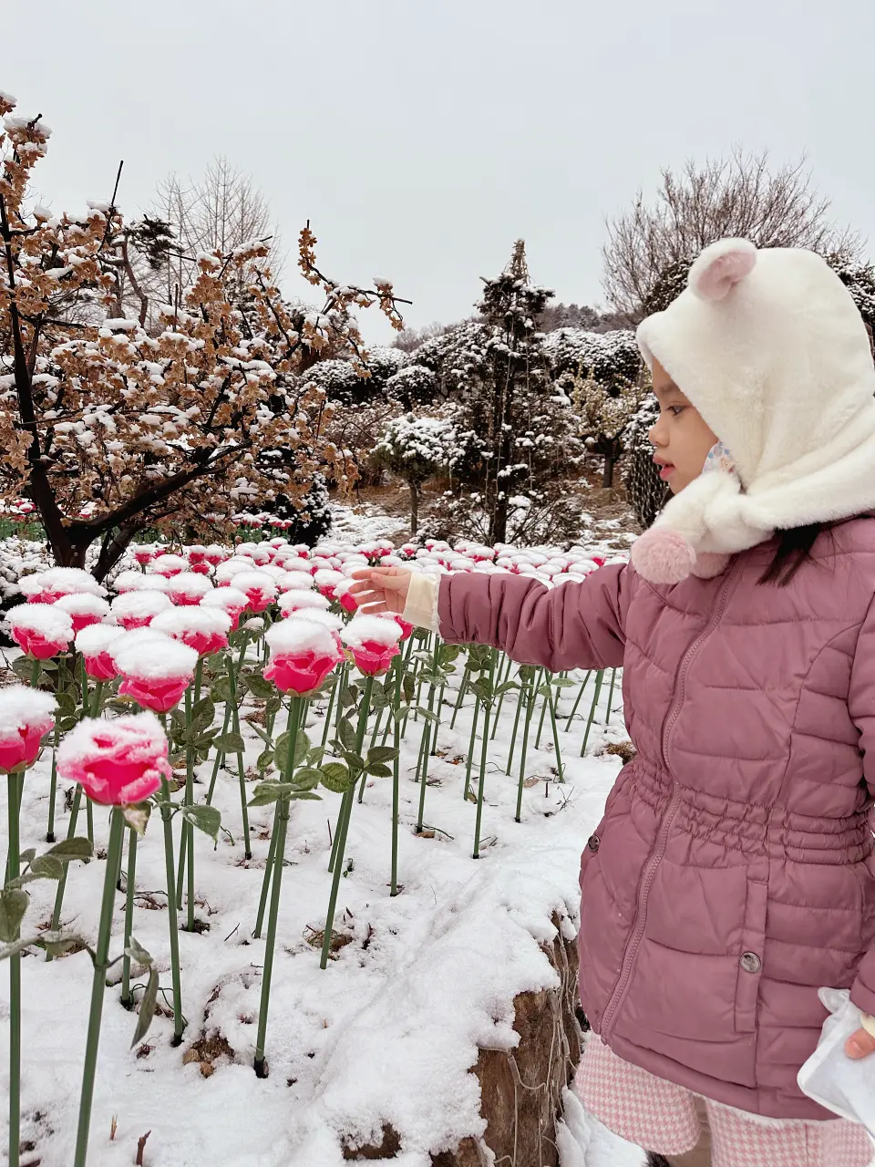 香草島樂園 首爾一日遊景點推薦，韓國最大香草植物園白雪皚皚超級浪漫（交通、票價）