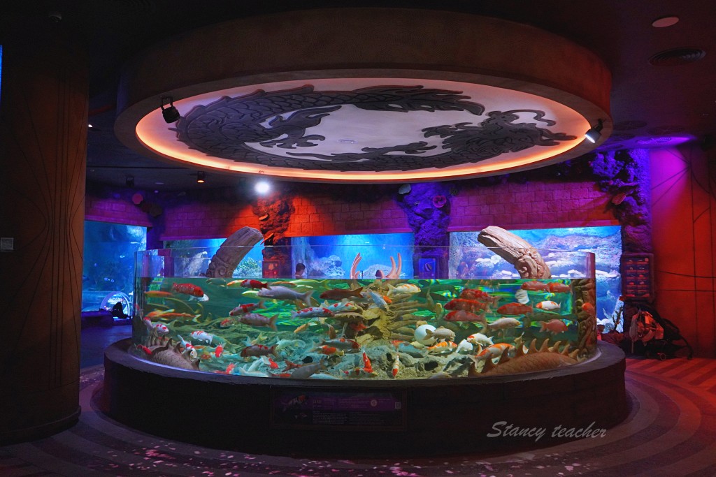 富國島景點「珍珠樂園 VinWonders 」世界最大海龜造型水族館霸氣十足又呆萌可愛