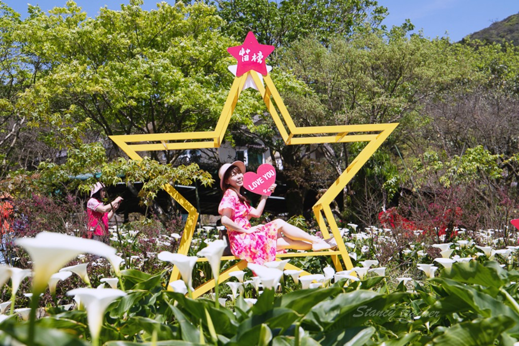 陽明山竹子湖海芋 | 苗榜海芋園 | 花季免費停車場超方便，門票折抵一大包手工小饅頭帶回家