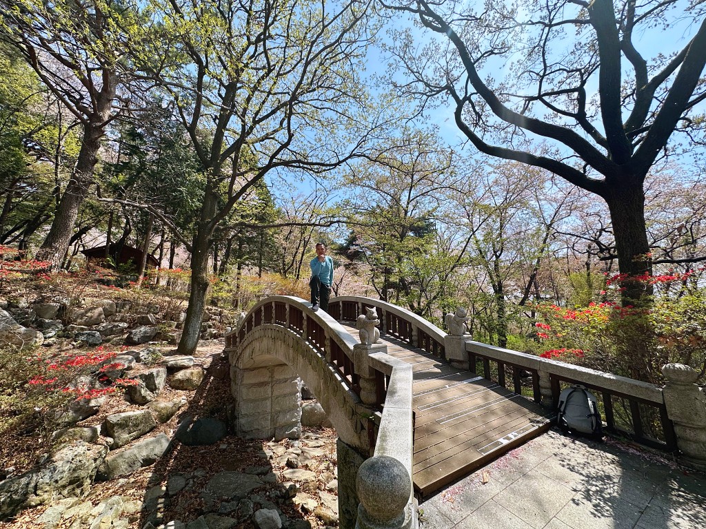 釜山賞櫻 | 長福山雕刻公園 | 親子公園設施超有趣 當地幼稚園小朋友阿珠媽都愛來