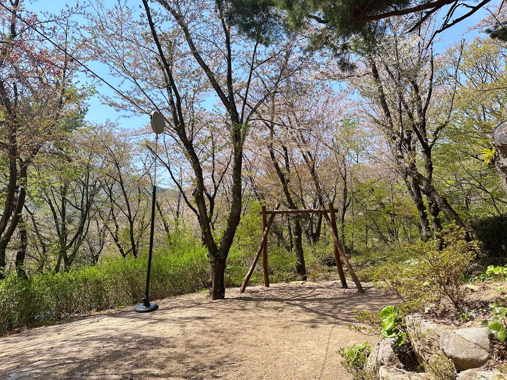 釜山賞櫻 | 長福山雕刻公園 | 親子公園設施超有趣 當地幼稚園小朋友阿珠媽都愛來