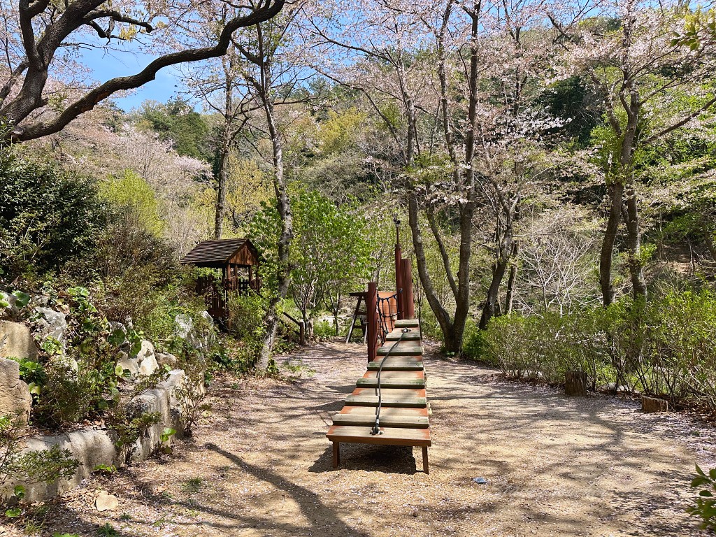 釜山賞櫻 | 長福山雕刻公園 | 親子公園設施超有趣 當地幼稚園小朋友阿珠媽都愛來