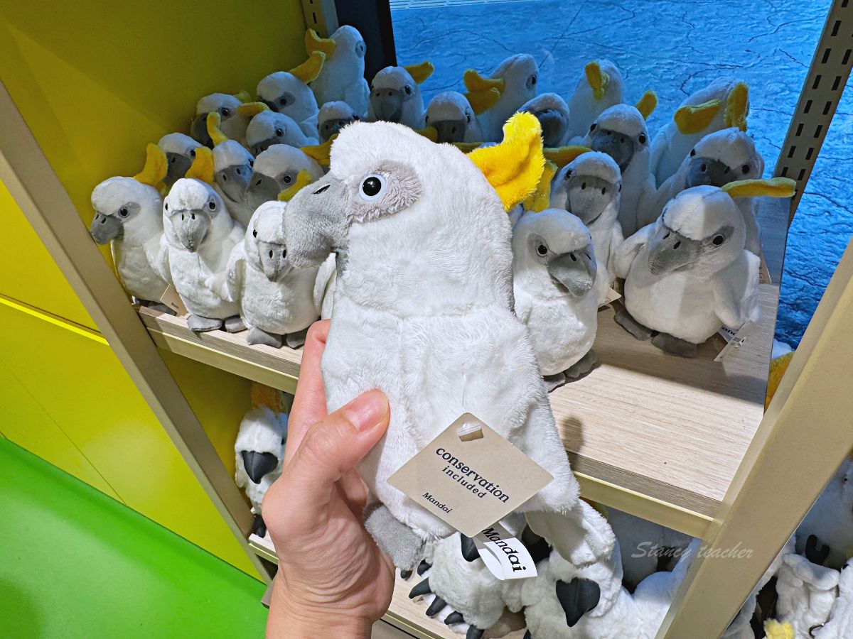 新加坡景點 「Bird Paradise 新加坡飛禽世界 」最新開幕飛禽公園更大更好玩