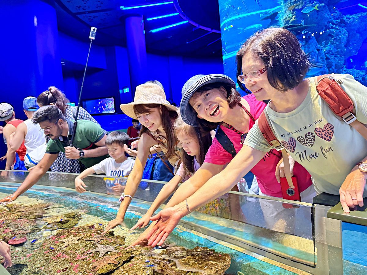 「新加坡聖淘沙海洋館」新加坡S.E.A.海洋館門票提前買便宜又方便