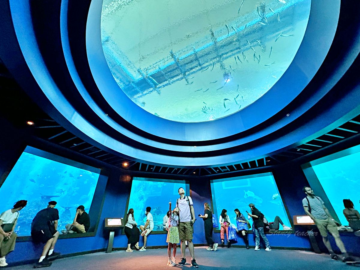 網站近期文章：「新加坡聖淘沙海洋館」新加坡S.E.A.海洋館門票提前買便宜又方便