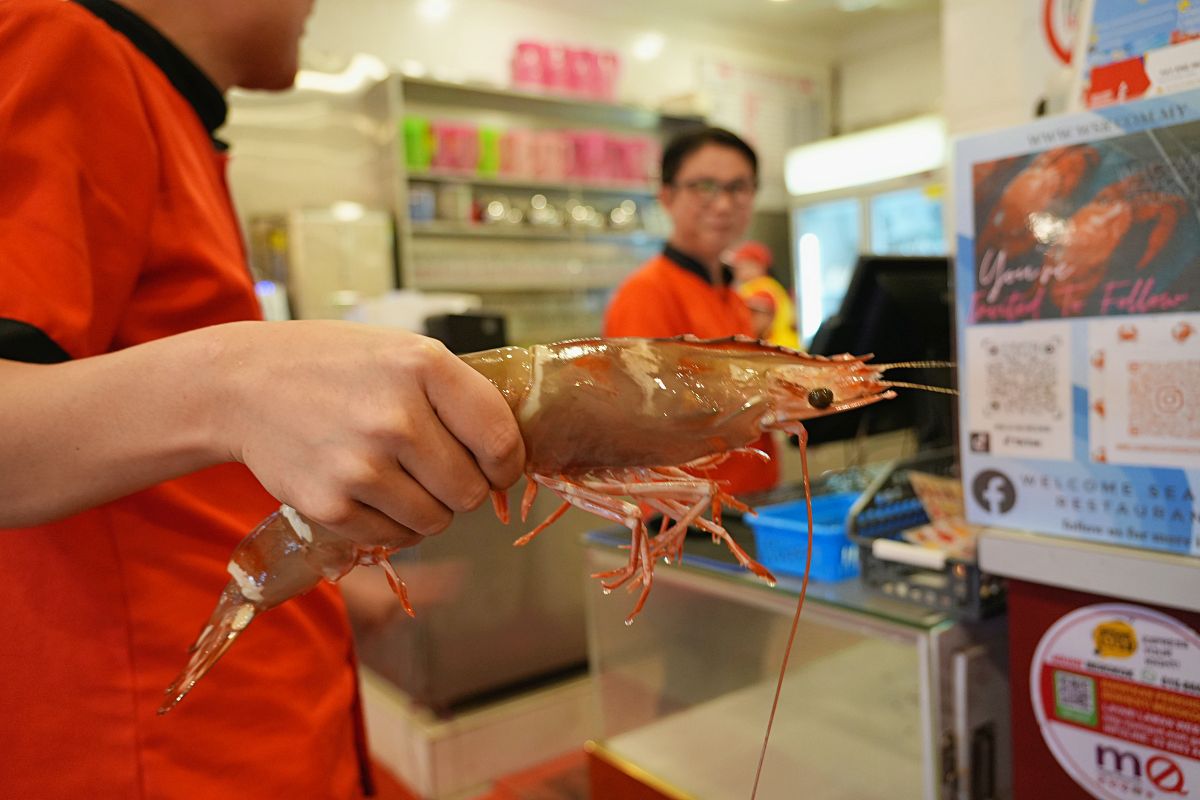 沙巴海鮮餐廳「大茄來海鮮餐廳」生意好到一整條街區全是他們家，海鮮熱炒好吃但炒飯有雷