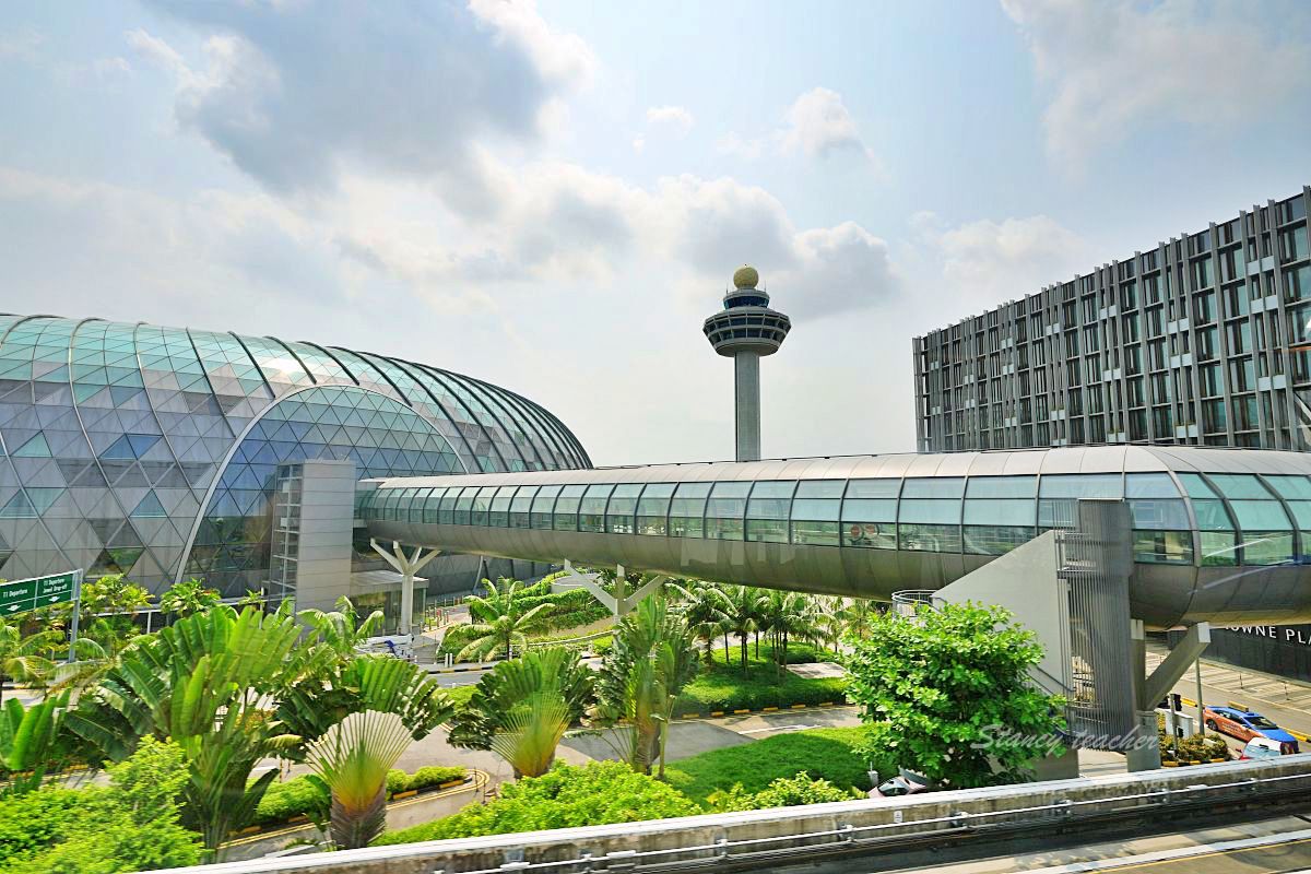 新加坡景點「星耀樟宜新加坡機場瀑布」Jewel Changi Airport不花錢好玩又好拍