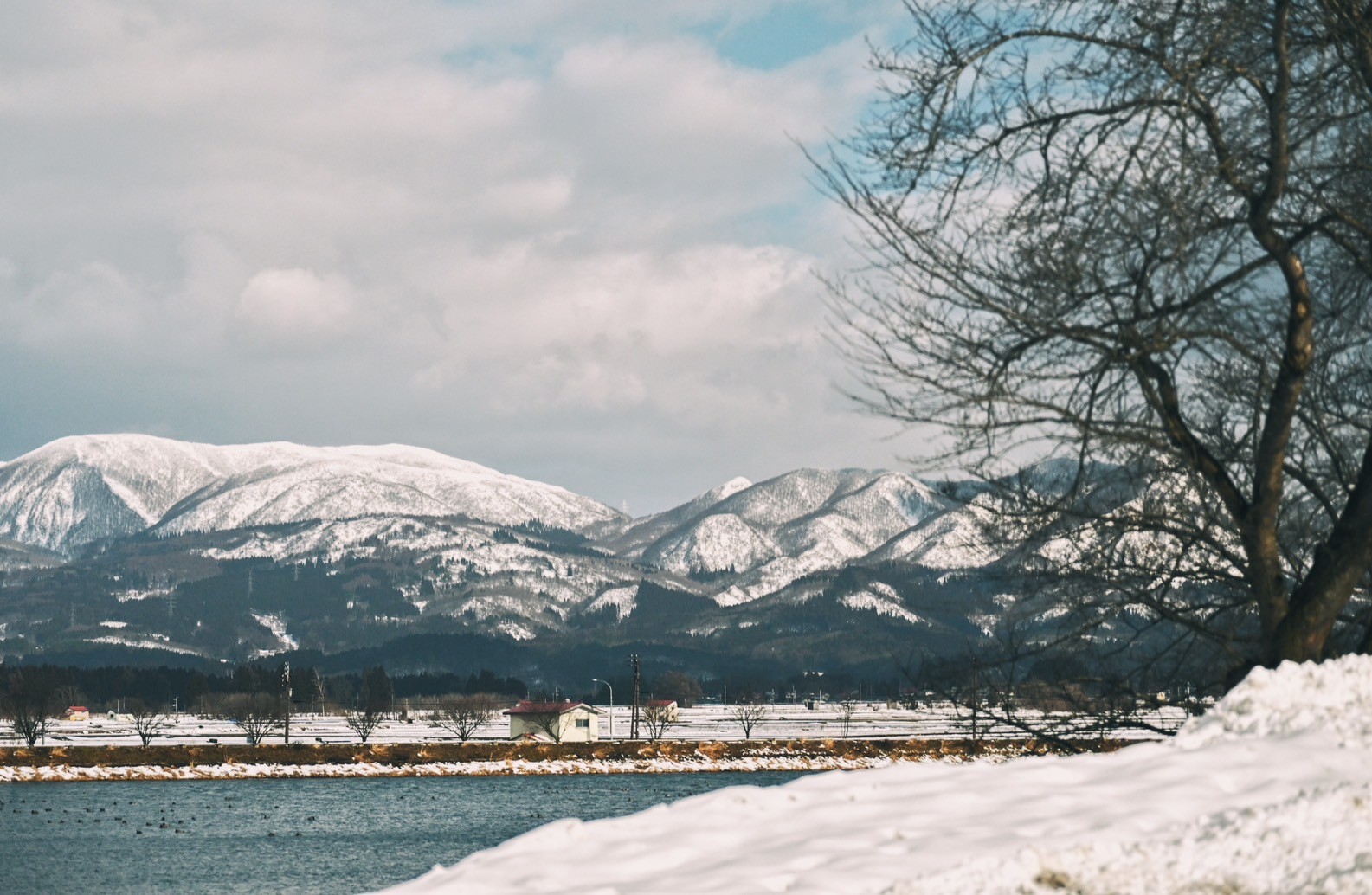 日本山形景點德良湖，湖邊日式洋食牛排欣賞冬日雪白靄靄風景太愜意，免費兒童廣場四季都好玩