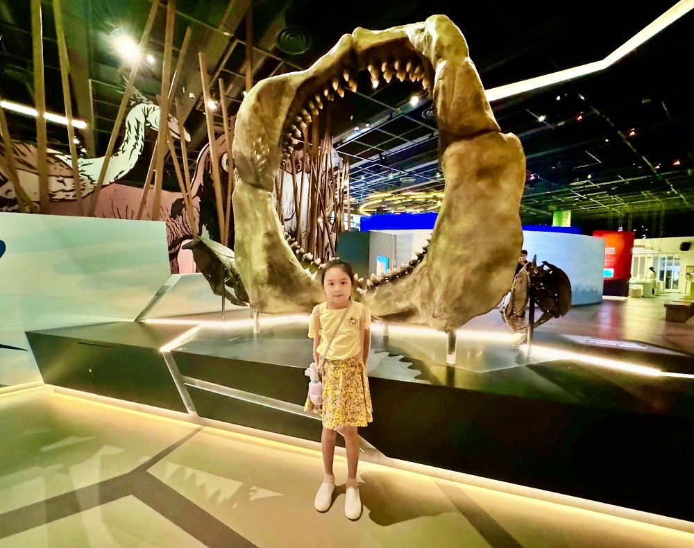 「香港親子自由行二天一夜行程表」香港免門票景點恐龍公園、史努比開心世界、科學博物館、歷史博物館玩翻天