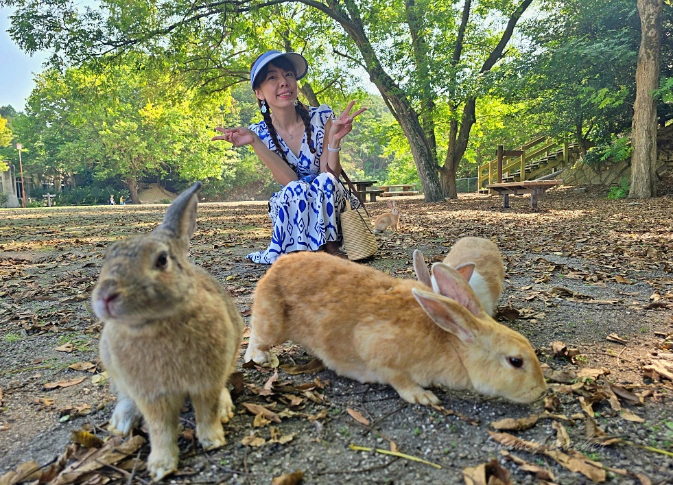 廣島自由行景點「兔子島自由行攻略」大久野島休暇村住宿一泊二食一篇搞定自駕坐船登大久野島超EASY