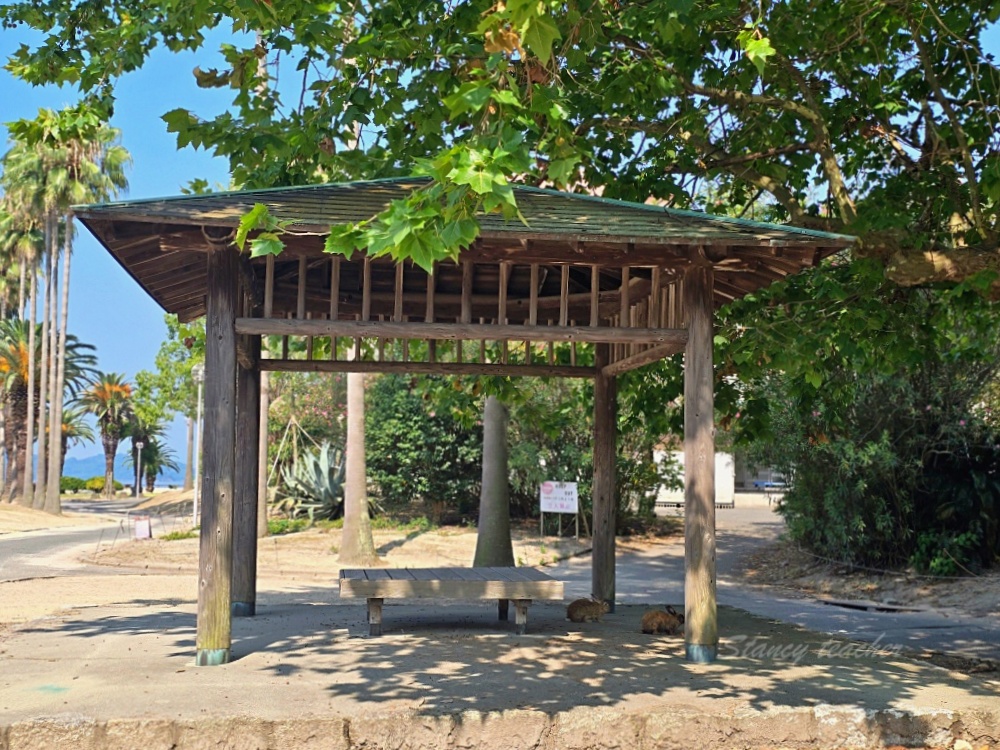 廣島自由行景點「兔子島自由行攻略」大久野島休暇村住宿一泊二食一篇搞定自駕坐船登大久野島超EASY