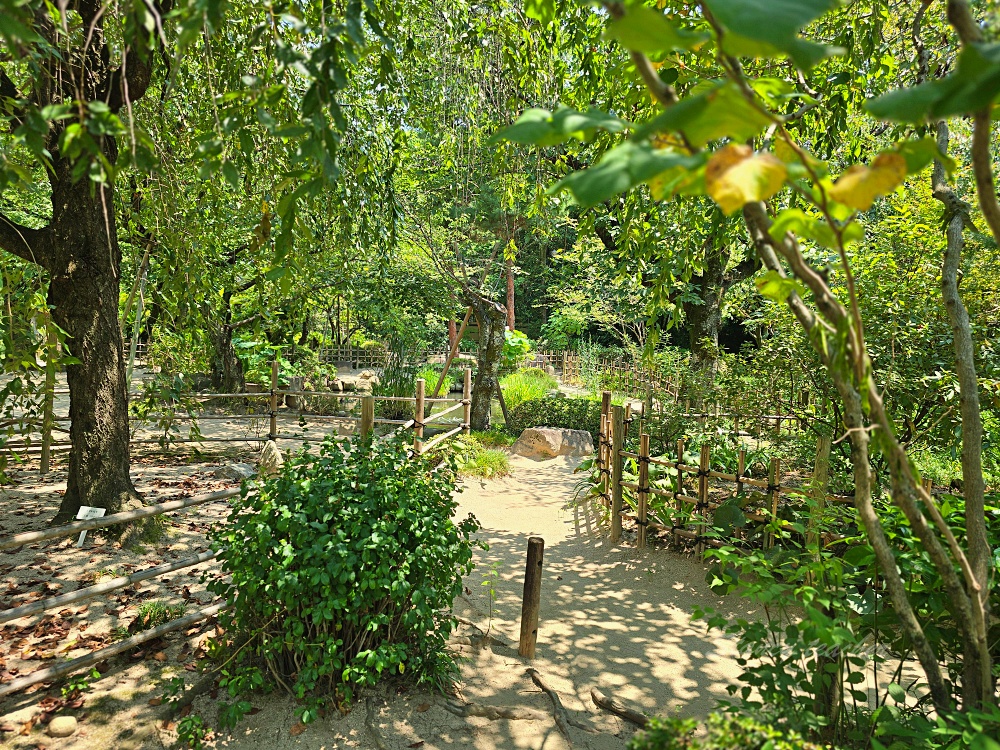 廣島自由行景點「縮景園」日本歷史公園百選隱身在市區裡面的淨土茶道大師創立茗園