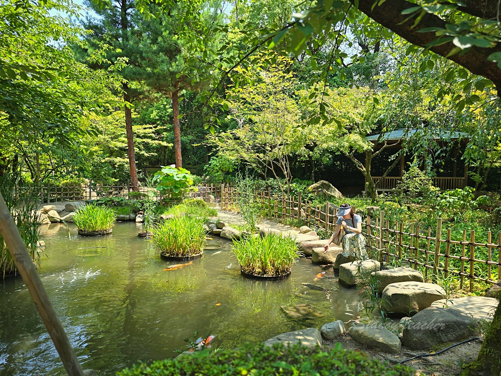 廣島自由行景點「縮景園」日本歷史公園百選隱身在市區裡面的淨土茶道大師創立茗園