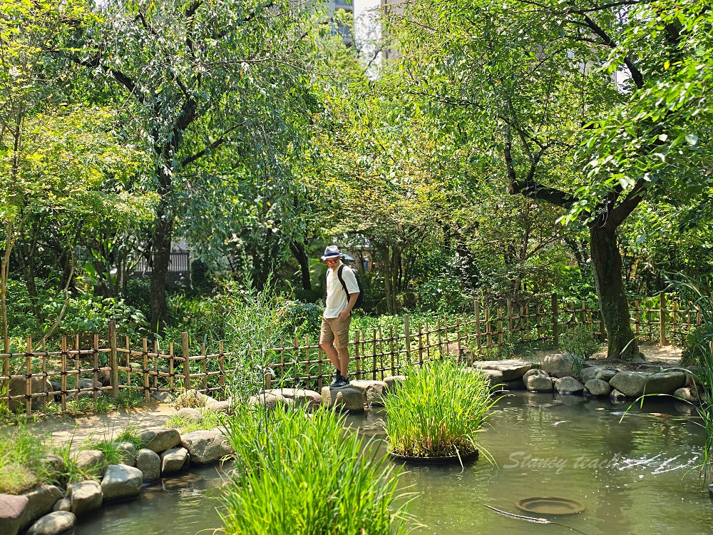 廣島自由行景點「縮景園」日本歷史公園百選隱身在市區裡面的淨土茶道大師創立茗園