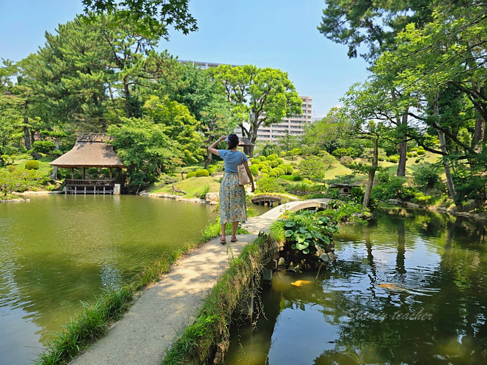 廣島自由行景點「縮景園」日本歷史公園百選隱身在市區裡面的淨土茶道大師創立茗園