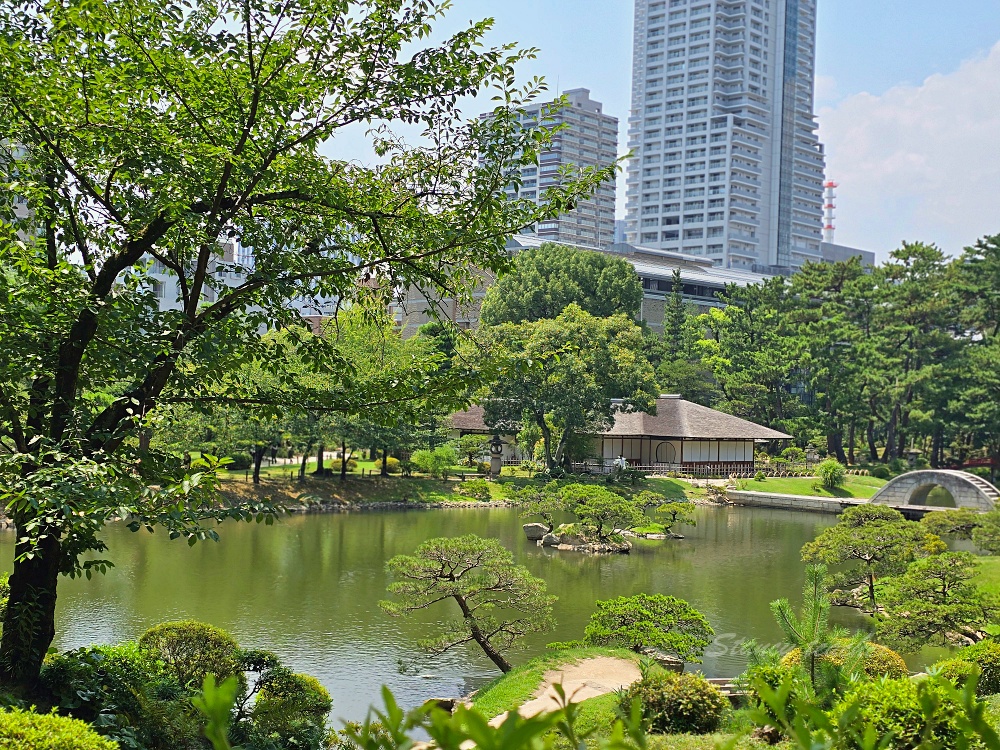 廣島自由行景點「縮景園」日本歷史公園百選隱身在市區裡面的淨土茶道大師創立茗園