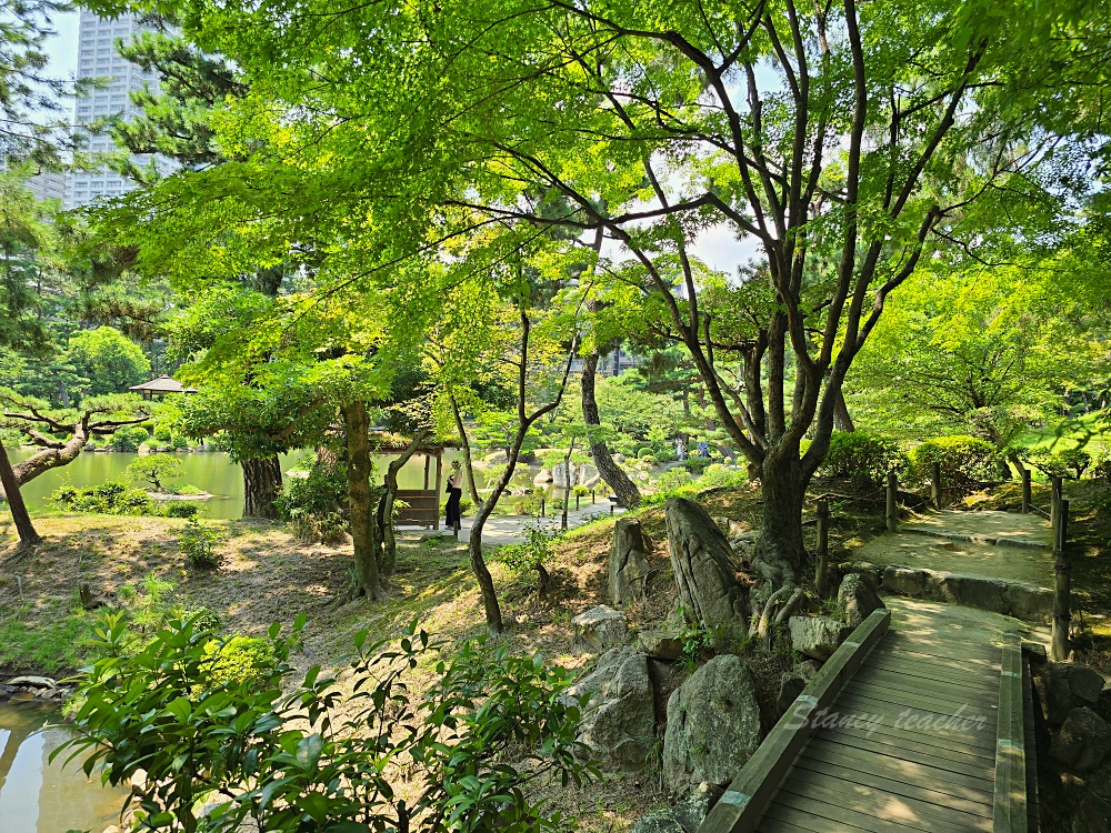 廣島自由行景點「縮景園」日本歷史公園百選隱身在市區裡面的淨土茶道大師創立茗園