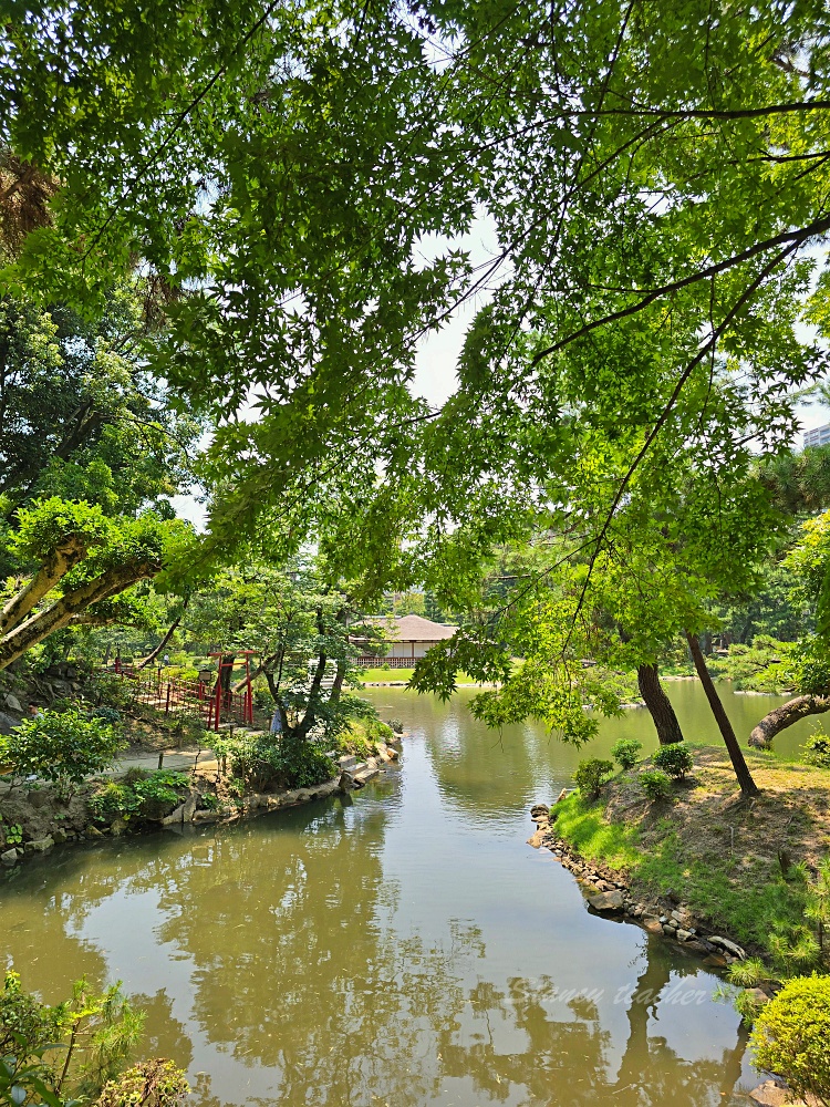 廣島自由行景點「縮景園」日本歷史公園百選隱身在市區裡面的淨土茶道大師創立茗園