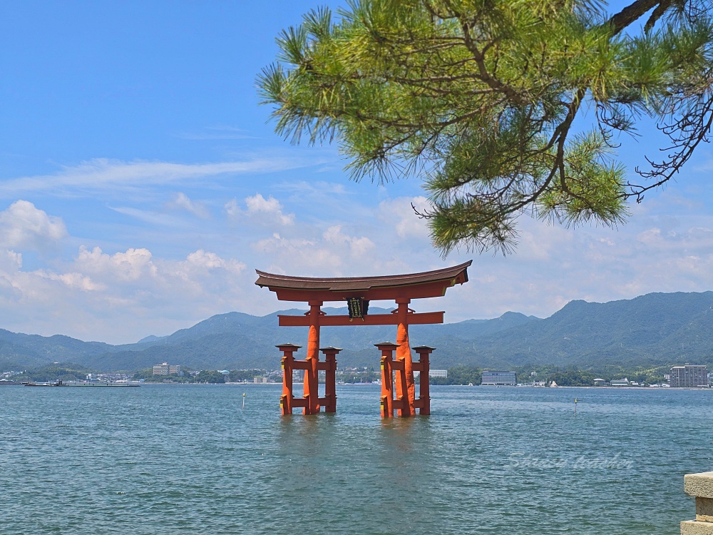 廣島景點推薦「宮島必玩必吃」嚴島神社、表參道商店街、炸紅葉饅頭、牡蠣烏龍麵、烤星鰻飯