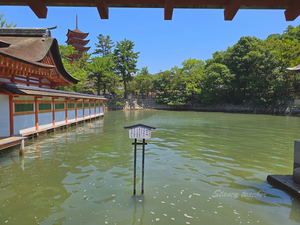 廣島景點推薦「宮島必玩必吃」嚴島神社、表參道商店街、炸紅葉饅頭、牡蠣烏龍麵、烤星鰻飯