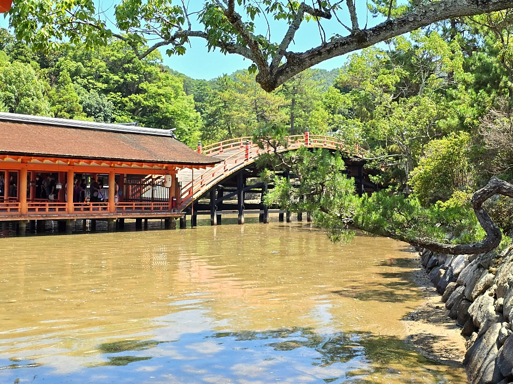 廣島景點推薦「宮島必玩必吃」嚴島神社、表參道商店街、炸紅葉饅頭、牡蠣烏龍麵、烤星鰻飯